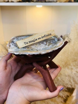 SOPORTE CONCHA ABULÓN