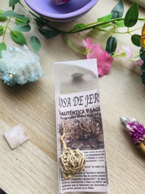ROSA DE JERICÓ