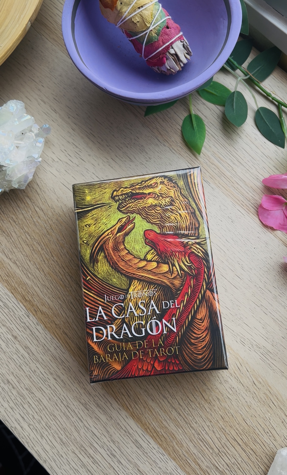 Libro-la-casa-del-dragón